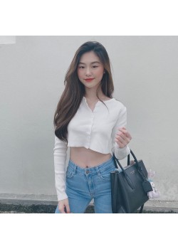 White long sleeve crop top