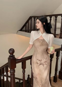 Sheer Cheongsam Outer & Khaki Dress