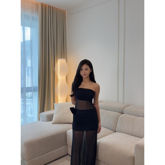 Tube Mesh Maxi Dress