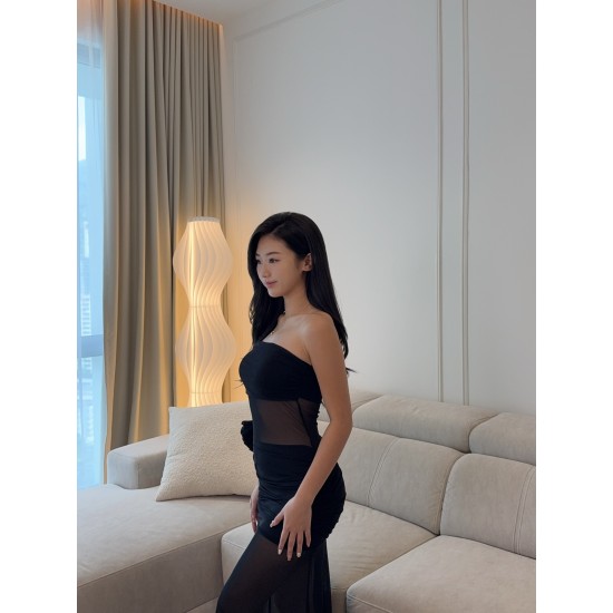 Tube Mesh Maxi Dress