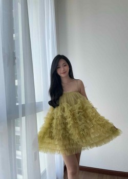 Green Mesh Ruffle Dress