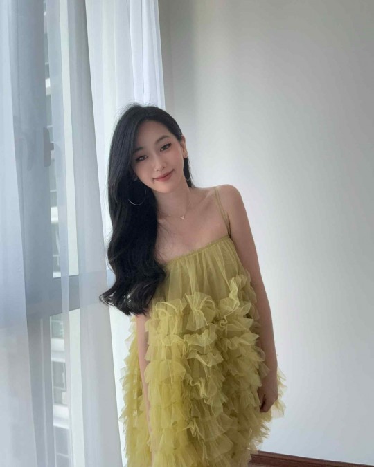 Green Mesh Ruffle Dress