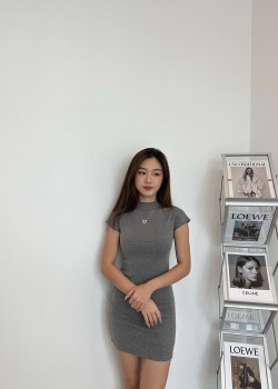 Grey Turtle Neck Dress