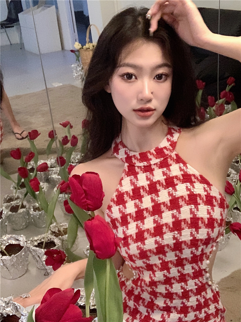 Red Houndstooth Dress