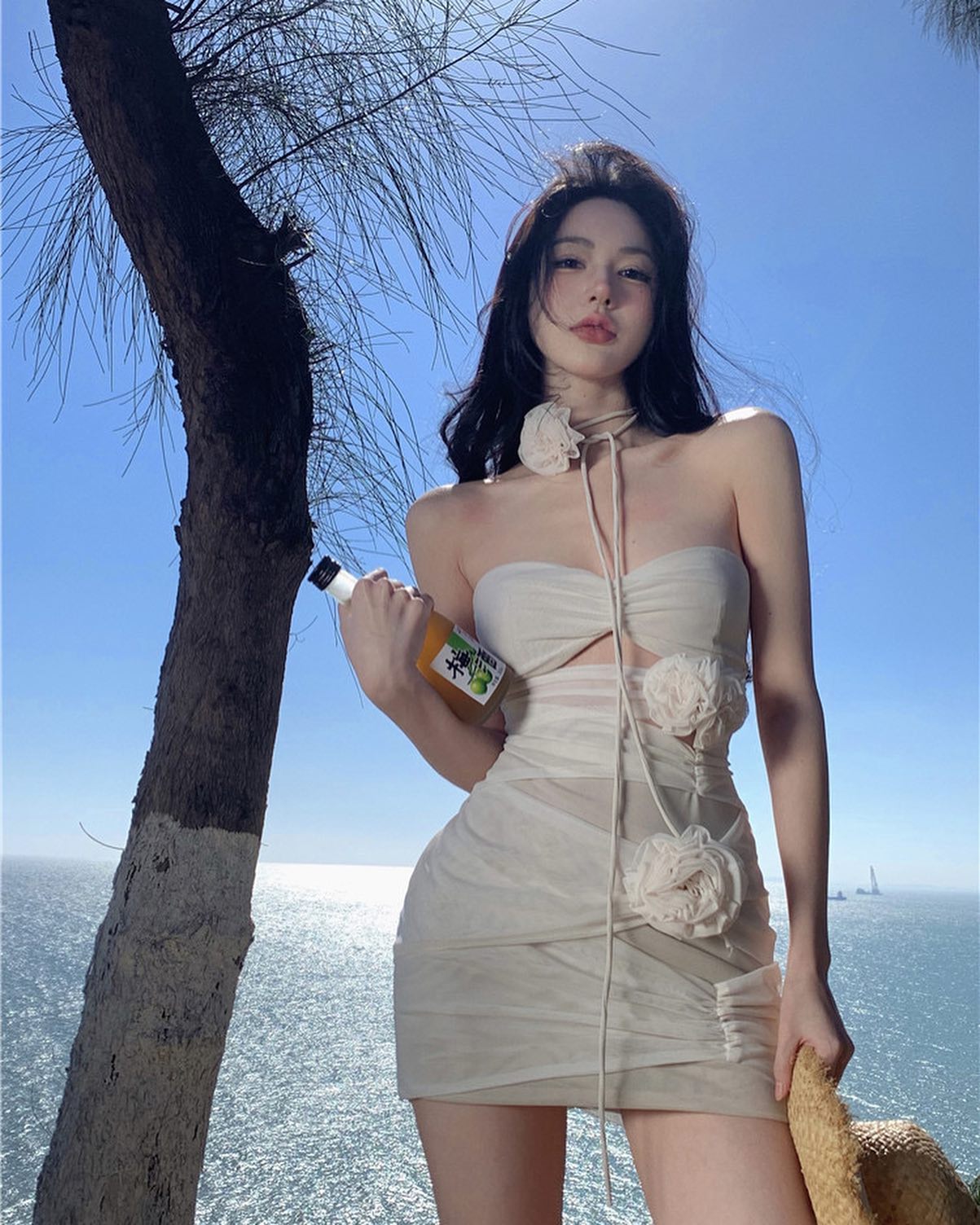 Sexy Tube Mesh Dress