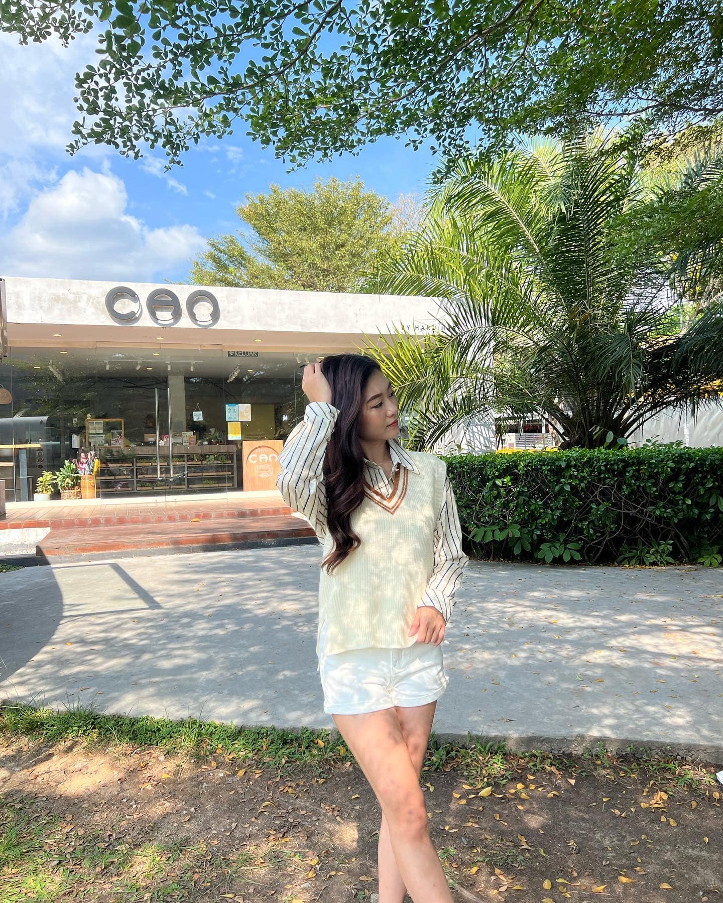 Beige Vest & Vertical Shirt Set