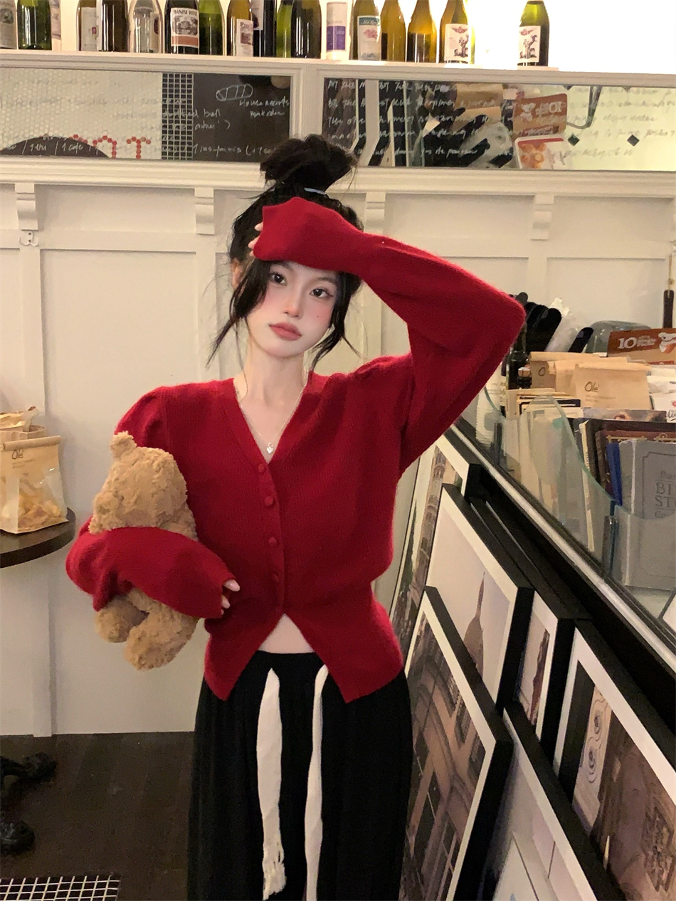 V Neck Long Sleeve Button Blouse