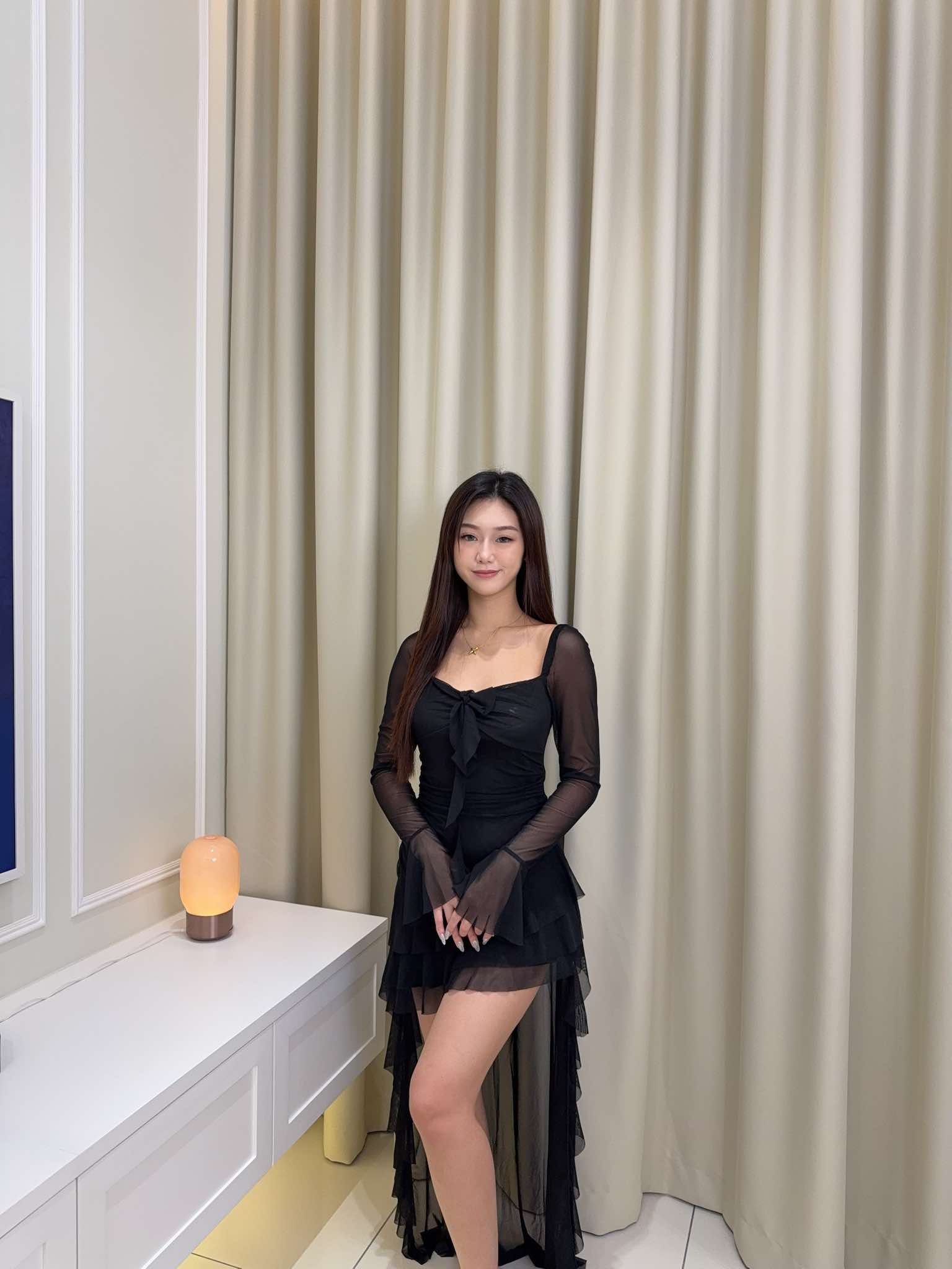 Long Sleeve Mesh Dress