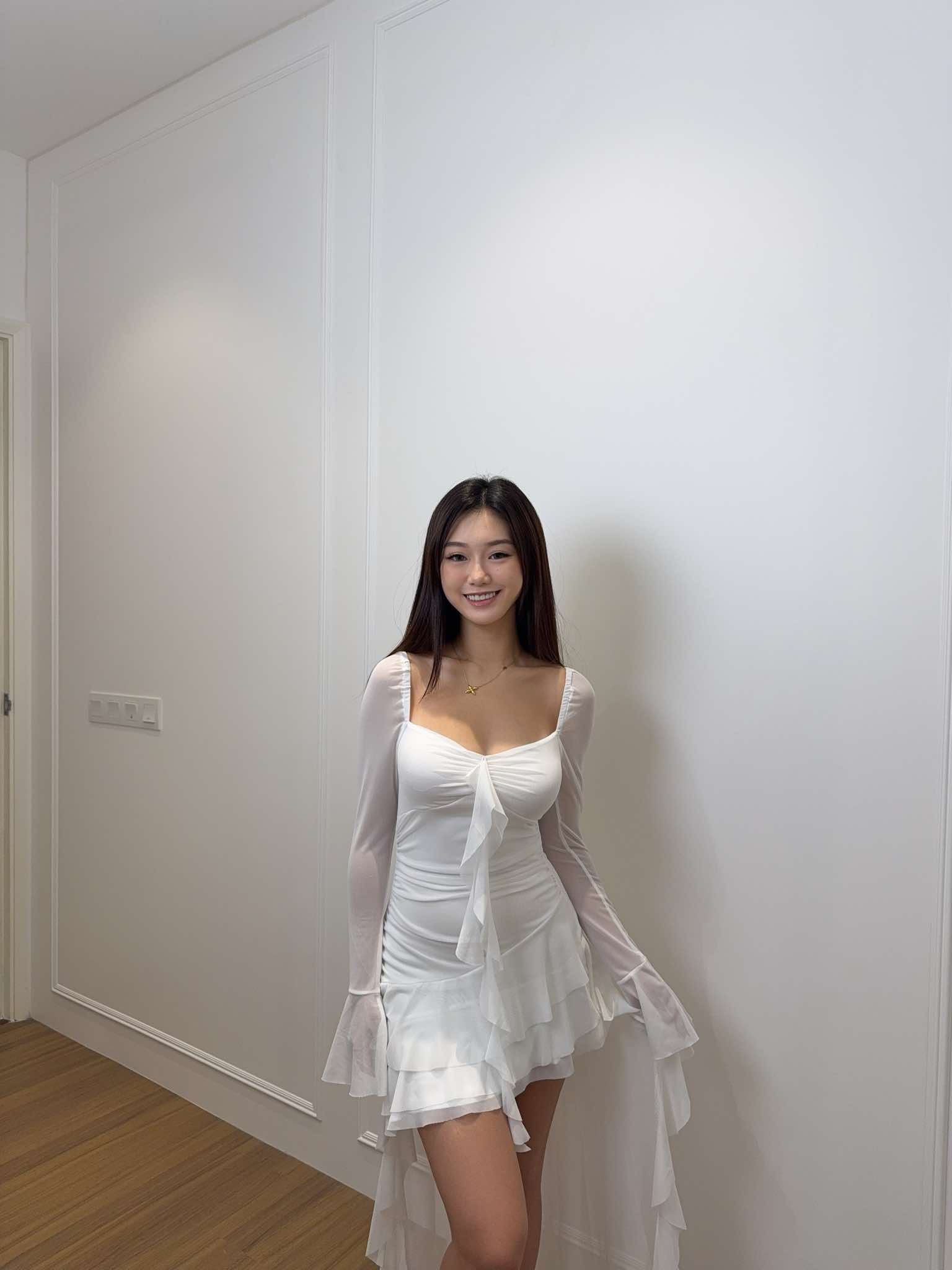 Long Sleeve Mesh Dress